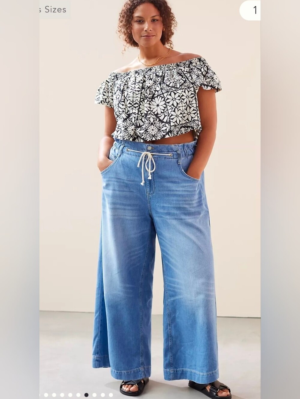 Anthropilogie Pilcro The Coastal Relaxed Jeans Size 26w
